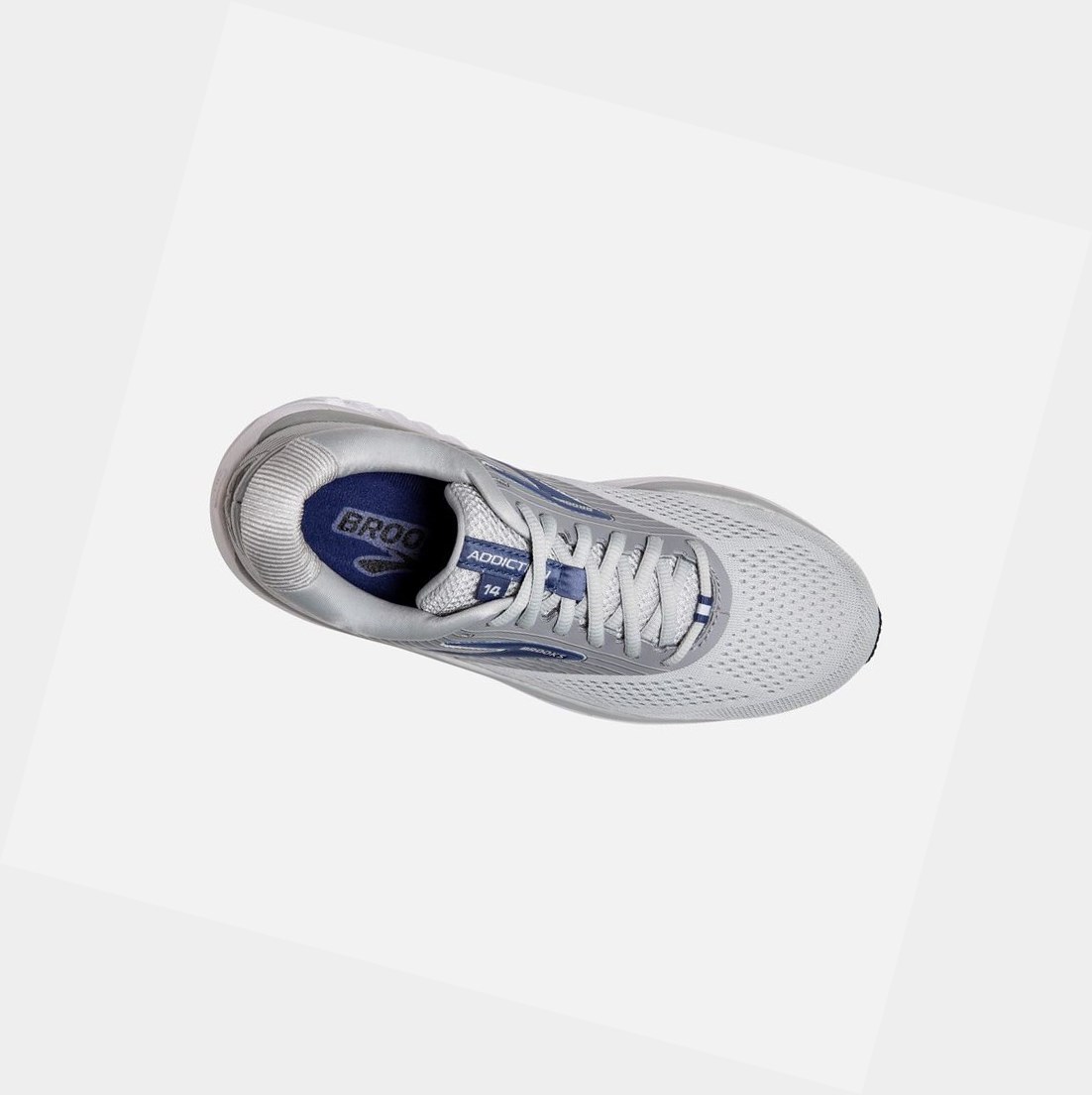 Scarpe Running Strada Donna Brooks Addiction 14 Oyster / Alloy / Marlin | JNEOKF-826
