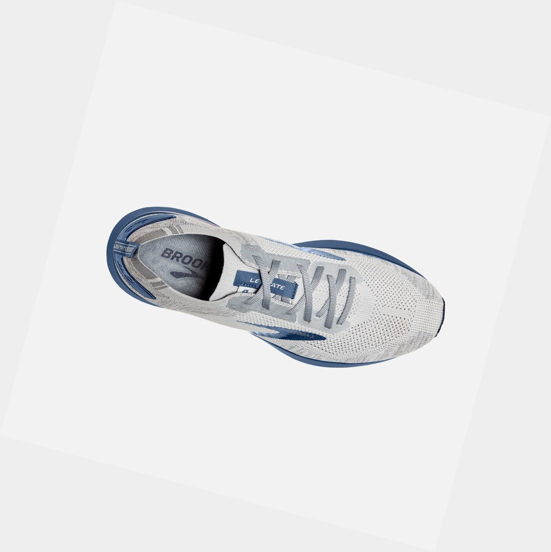Scarpe Running Strada Uomo Brooks Levitate 4 Grigie Blu | PZTEGU-958