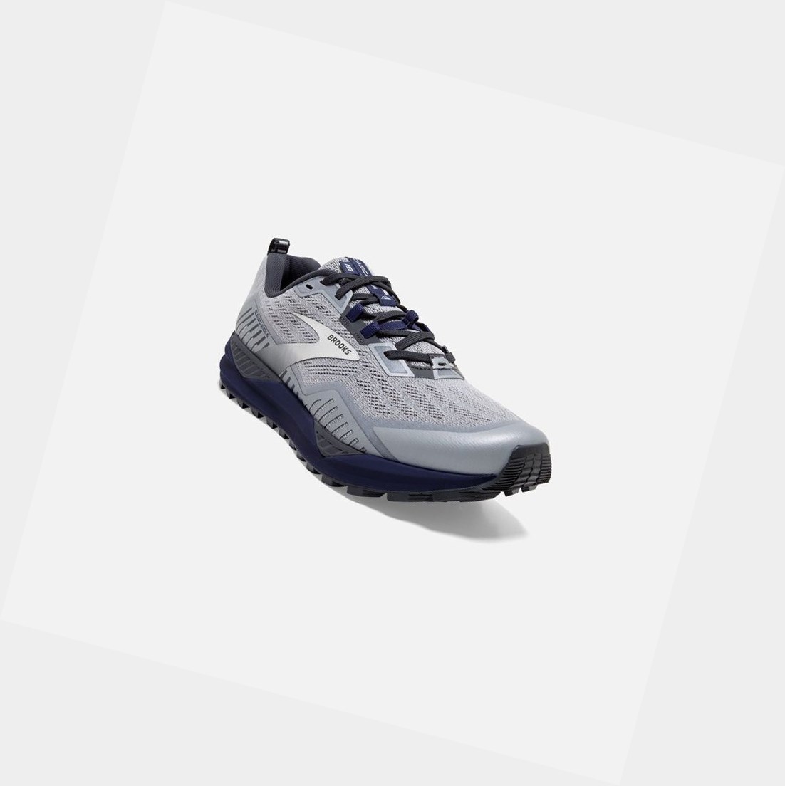 Scarpe Trail Uomo Brooks Cascadia 15 Argento Corallo | JQISHX-967