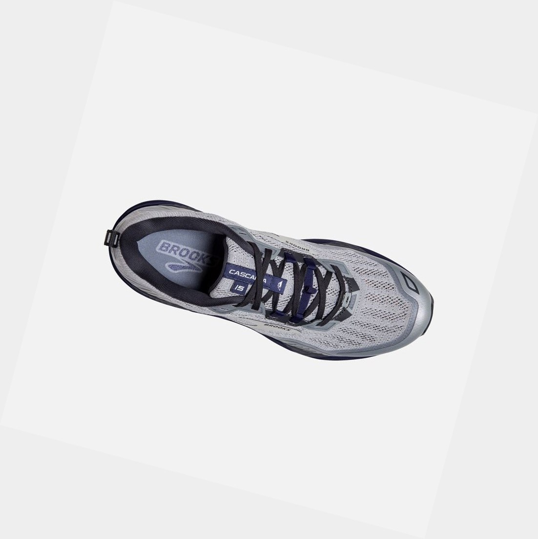 Scarpe Trail Uomo Brooks Cascadia 15 Argento Corallo | JQISHX-967
