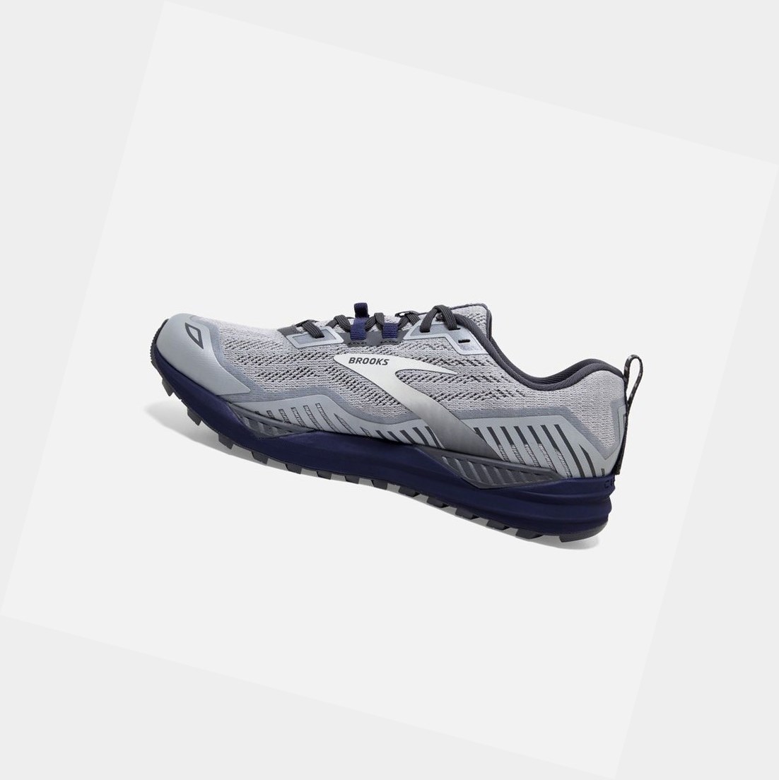 Scarpe Trail Uomo Brooks Cascadia 15 Argento Corallo | JQISHX-967