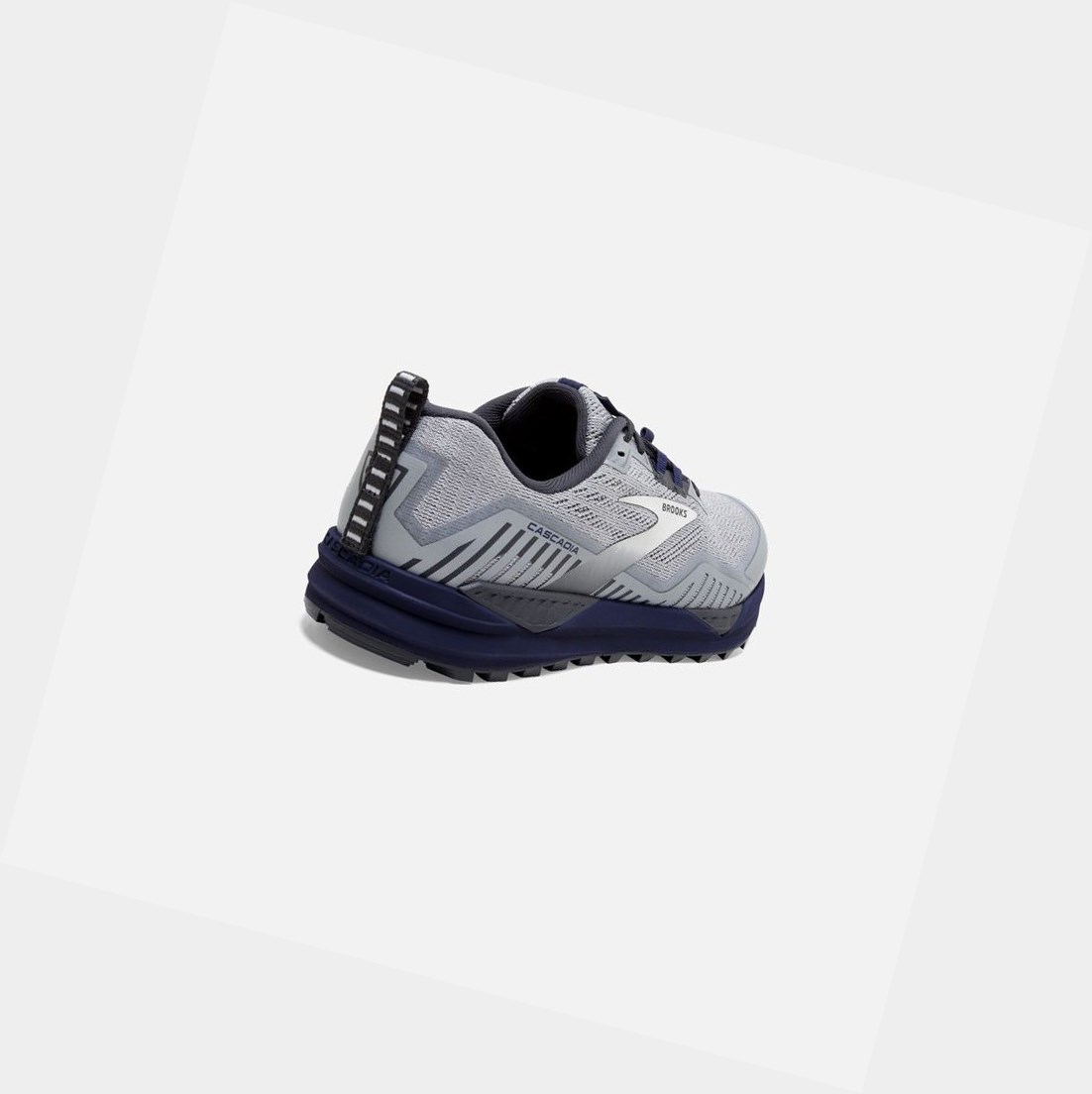 Scarpe Trail Uomo Brooks Cascadia 15 Argento Corallo | JQISHX-967